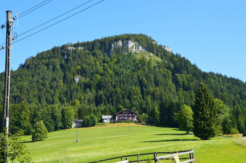 Berghotel Predigstuhl Bad Goisern Extérieur photo